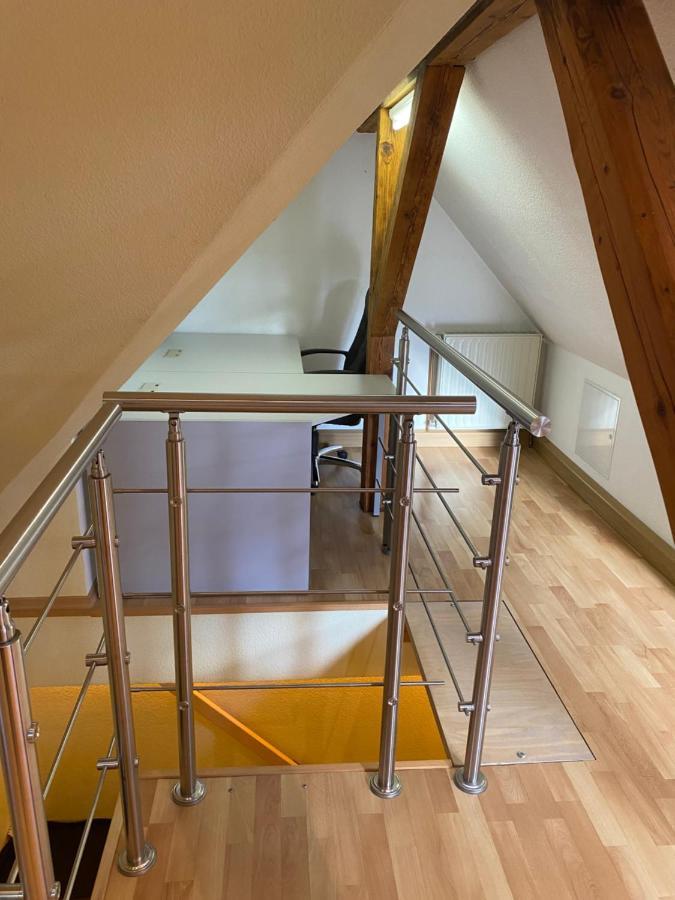 Helles Und Charmantes Loft Mit Herrlichem Blick دريسدن المظهر الخارجي الصورة