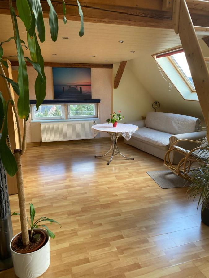Helles Und Charmantes Loft Mit Herrlichem Blick دريسدن المظهر الخارجي الصورة