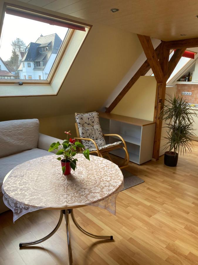 Helles Und Charmantes Loft Mit Herrlichem Blick دريسدن المظهر الخارجي الصورة