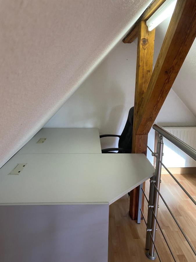 Helles Und Charmantes Loft Mit Herrlichem Blick دريسدن المظهر الخارجي الصورة
