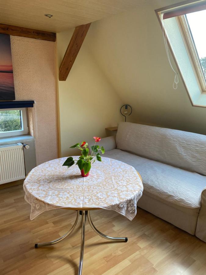 Helles Und Charmantes Loft Mit Herrlichem Blick دريسدن المظهر الخارجي الصورة
