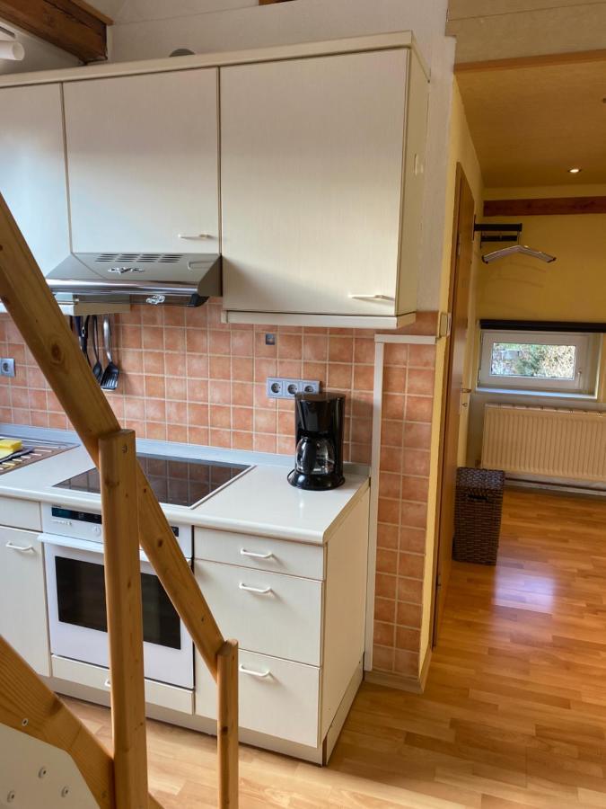 Helles Und Charmantes Loft Mit Herrlichem Blick دريسدن المظهر الخارجي الصورة