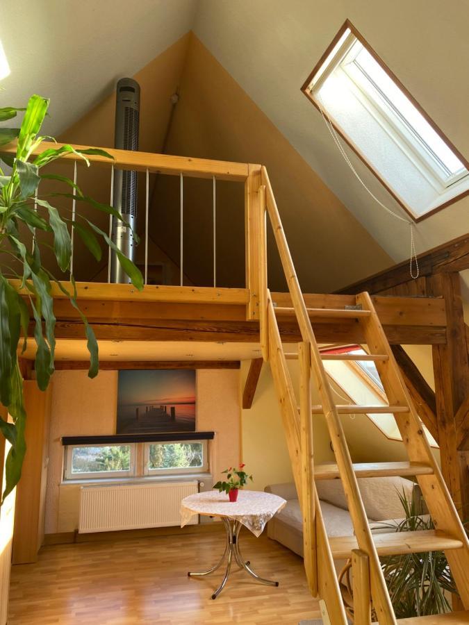 Helles Und Charmantes Loft Mit Herrlichem Blick دريسدن المظهر الخارجي الصورة